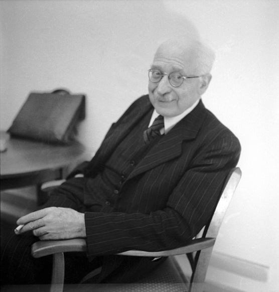 Ludwig Bergsträsser, Stiftung Haus der Geschichte (InC)