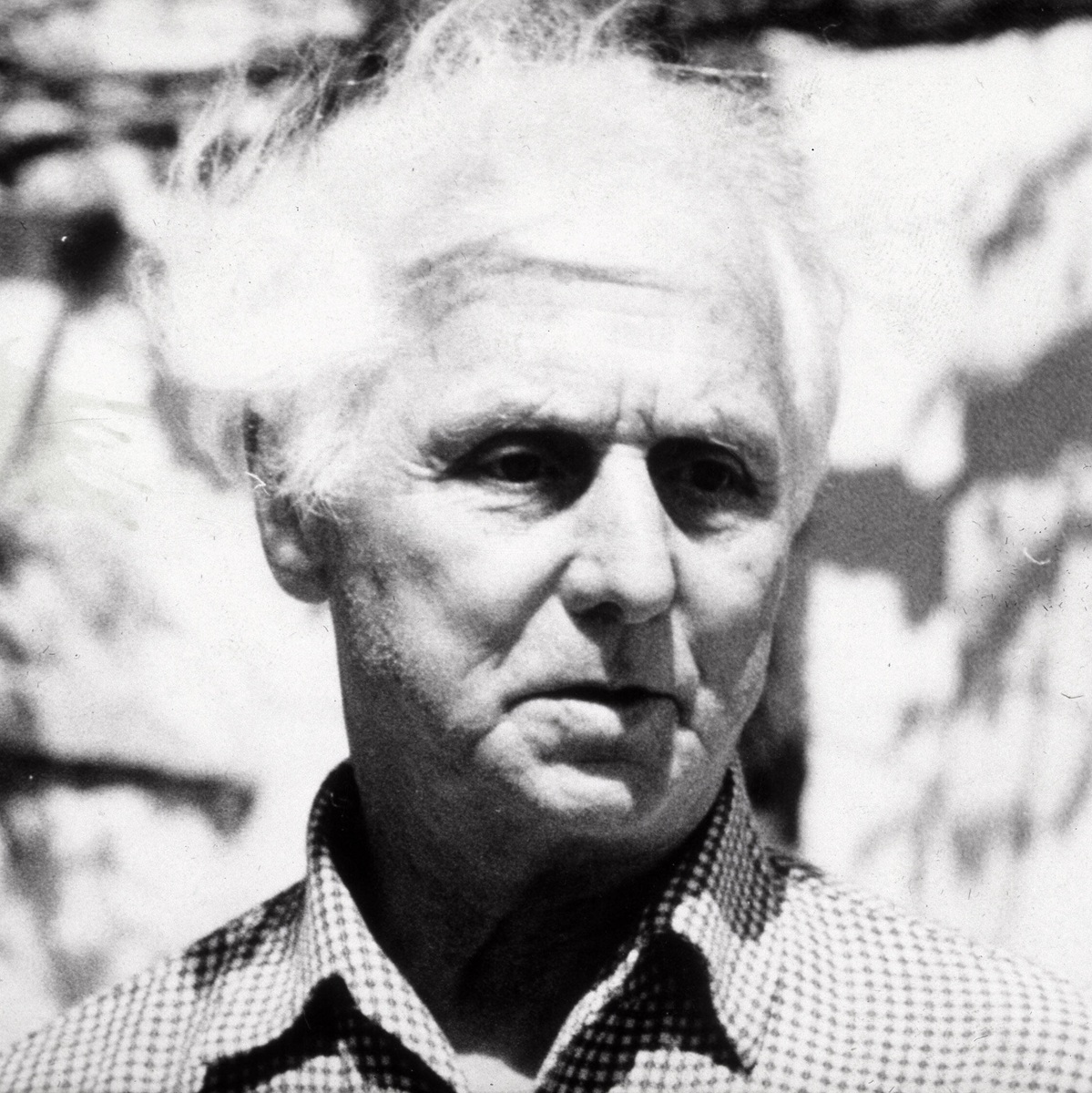 Max Ernst, Imago Images (InC)